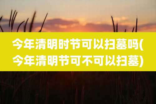 今年清明时节可以扫墓吗(今年清明节可不可以扫墓)