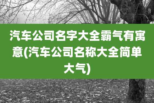 汽车公司名字大全霸气有寓意(汽车公司名称大全简单大气)
