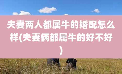夫妻两人都属牛的婚配怎么样(夫妻俩都属牛的好不好)