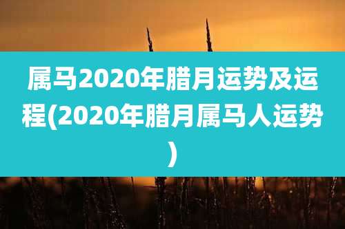 属马2020年腊月运势及运程(2020年腊月属马人运势)