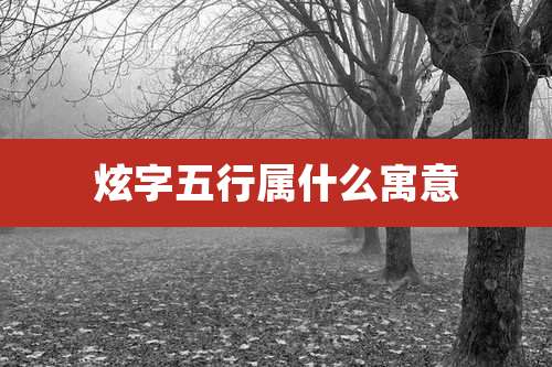 炫字五行属什么寓意
