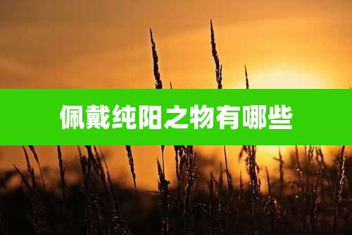 佩戴纯阳之物有哪些