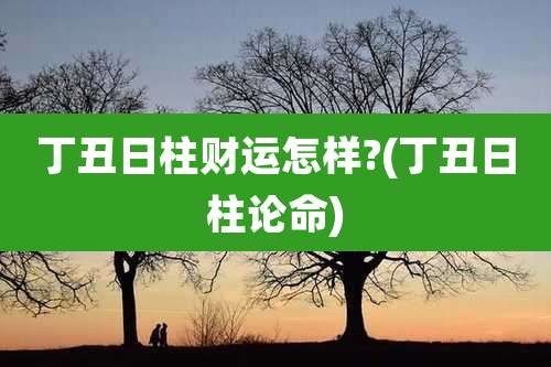 丁丑日柱财运怎样?(丁丑日柱论命)
