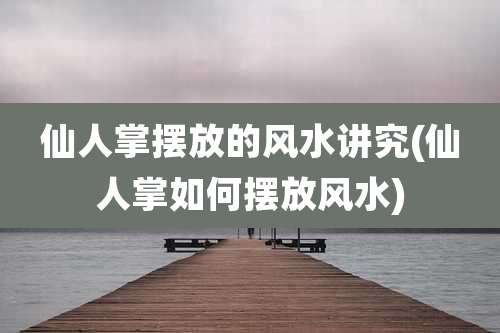 仙人掌摆放的风水讲究(仙人掌如何摆放风水)