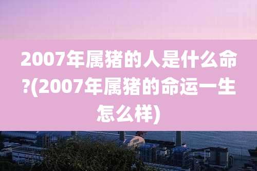 2007年属猪的人是什么命?(2007年属猪的命运一生怎么样)