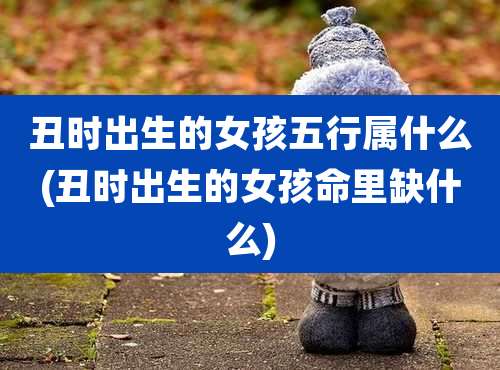 丑时出生的女孩五行属什么(丑时出生的女孩命里缺什么)