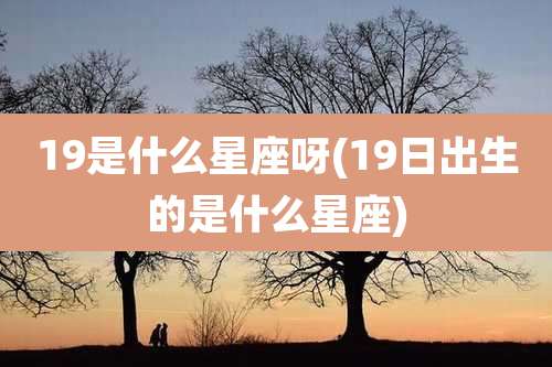 19是什么星座呀(19日出生的是什么星座)