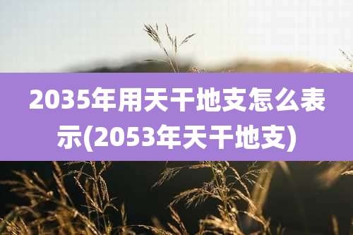 2035年用天干地支怎么表示(2053年天干地支)