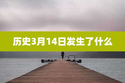 历史3月14日发生了什么