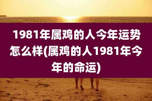 1981年属鸡的人今年运势怎么样(属鸡的人1981年今年的命运)