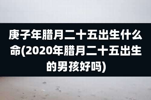 庚子年腊月二十五出生什么命(2020年腊月二十五出生的男孩好吗)