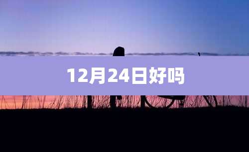 12月24日好吗