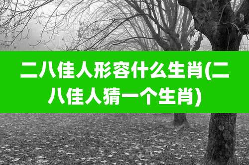 二八佳人形容什么生肖(二八佳人猜一个生肖)