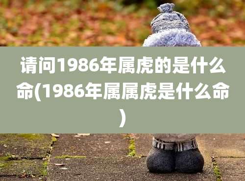请问1986年属虎的是什么命(1986年属属虎是什么命)