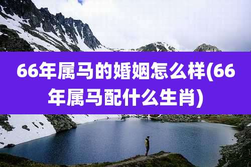 66年属马的婚姻怎么样(66年属马配什么生肖)