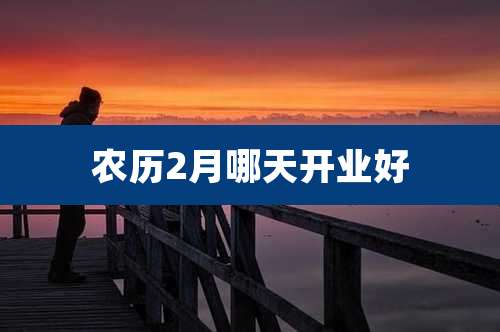 农历2月哪天开业好