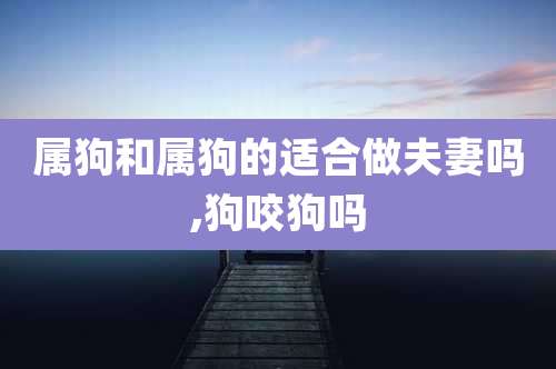 属狗和属狗的适合做夫妻吗,狗咬狗吗