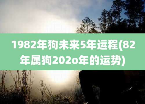 1982年狗未来5年运程(82年属狗202o年的运势)