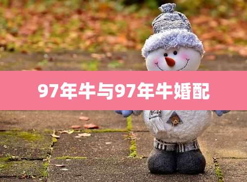 97年牛与97年牛婚配