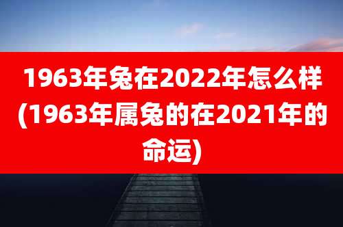 1963年兔在2022年怎么样(1963年属兔的在2021年的命运)