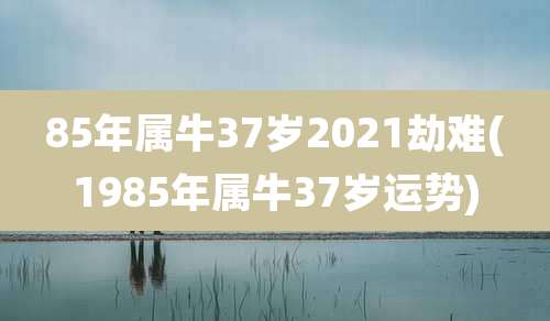 85年属牛37岁2021劫难(1985年属牛37岁运势)