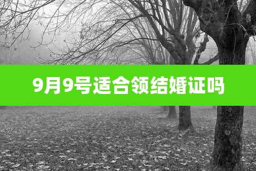 9月9号适合领结婚证吗