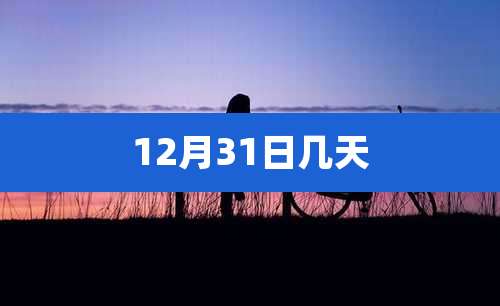 12月31日几天