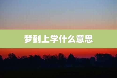 梦到上学什么意思