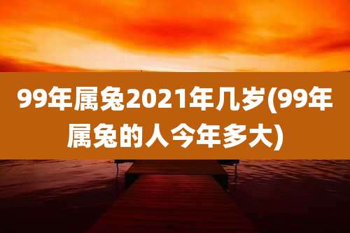 99年属兔2021年几岁(99年属兔的人今年多大)