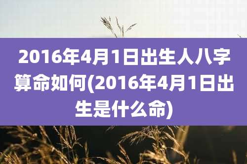 2016年4月1日出生人八字算命如何(2016年4月1日出生是什么命)