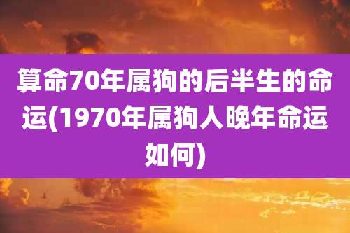 算命70年属狗的后半生的命运(1970年属狗人晚年命运如何)