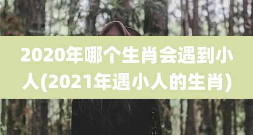 2020年哪个生肖会遇到小人(2021年遇小人的生肖)