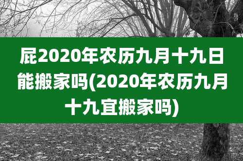 屁2020年农历九月十九日能搬家吗(2020年农历九月十九宜搬家吗)