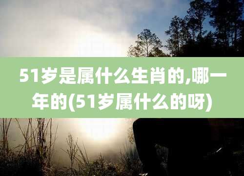 51岁是属什么生肖的,哪一年的(51岁属什么的呀)