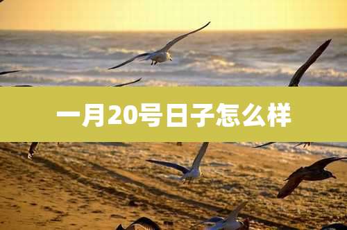 一月20号日子怎么样