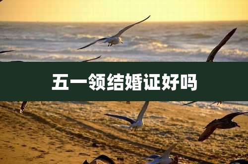 五一领结婚证好吗