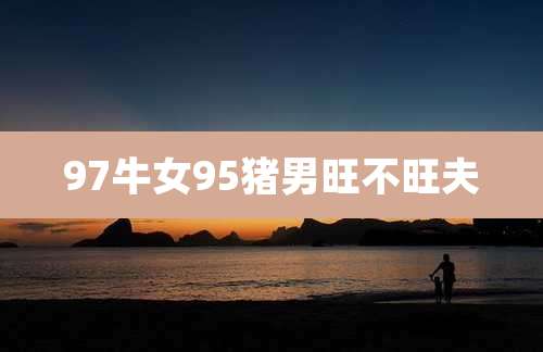 97牛女95猪男旺不旺夫