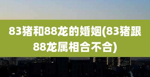 83猪和88龙的婚姻(83猪跟88龙属相合不合)