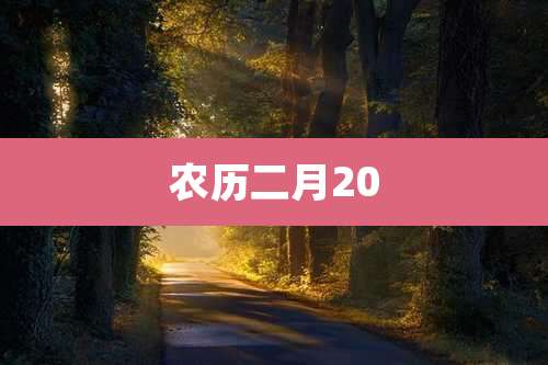 农历二月20