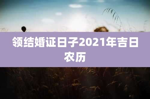 领结婚证日子2021年吉日农历