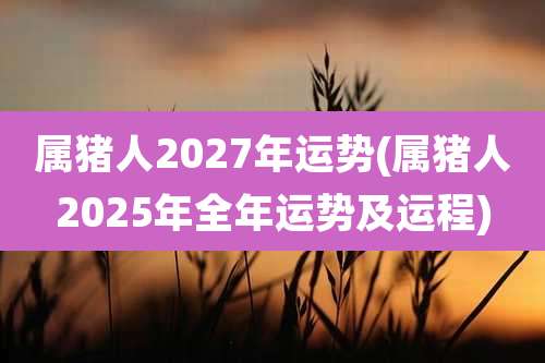 属猪人2027年运势(属猪人2025年全年运势及运程)