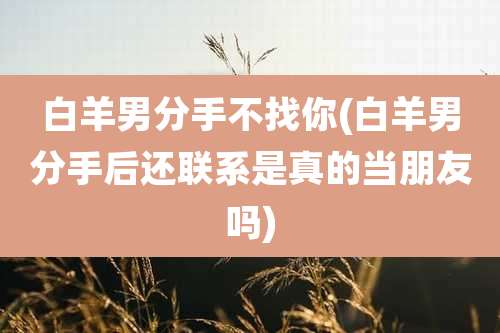 白羊男分手不找你(白羊男分手后还联系是真的当朋友吗)