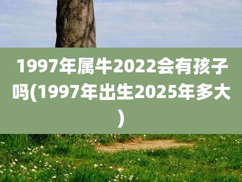1997年属牛2022会有孩子吗(1997年出生2025年多大)