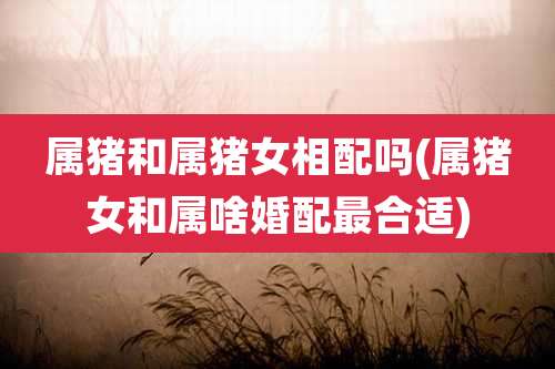 属猪和属猪女相配吗(属猪女和属啥婚配最合适)