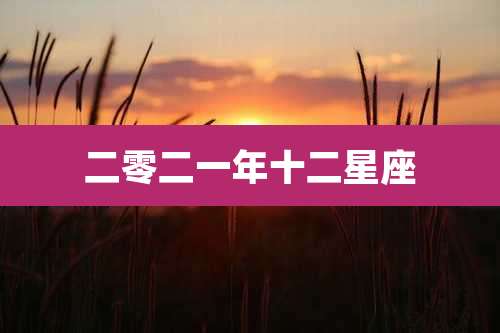 二零二一年十二星座