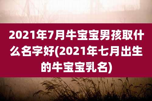 2021年7月牛宝宝男孩取什么名字好(2021年七月出生的牛宝宝乳名)