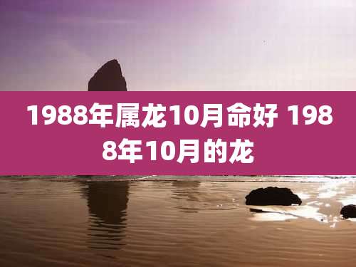 1988年属龙10月命好 1988年10月的龙