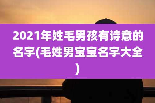 2021年姓毛男孩有诗意的名字(毛姓男宝宝名字大全)