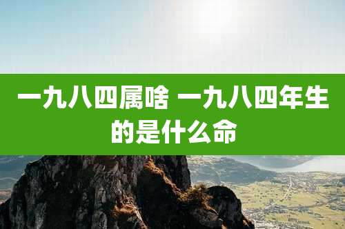 一九八四属啥 一九八四年生的是什么命