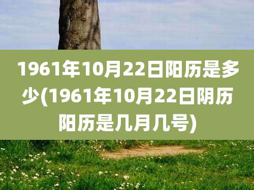 1961年10月22日阳历是多少(1961年10月22日阴历阳历是几月几号)